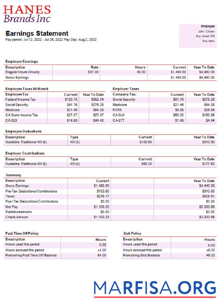 Downloadable USA clothing company earning statement real example